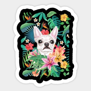 Tropical Short Haired White Chihuahua 3 Sticker